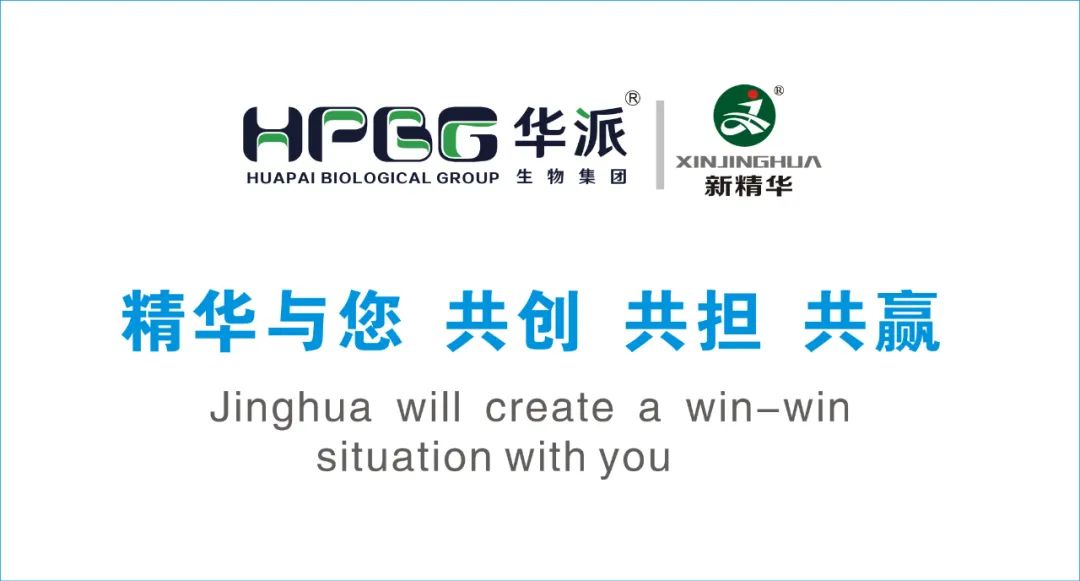 企业简介 |华派集团•NG娱乐药业（成都）有限公司