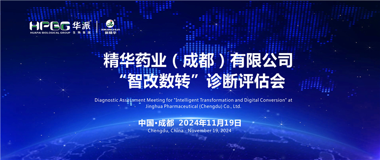 智能制造｜专家组莅临华派集团·NG娱乐药业开展“智改数转”评估诊断