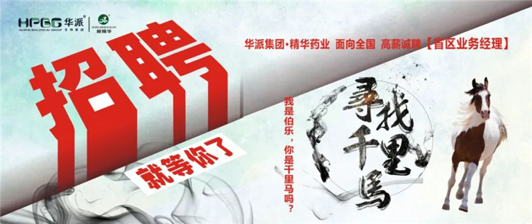 寻找千里马 | 华派集团•NG娱乐药业面 向天下高薪诚聘【省区营业司理】 我是伯乐，，，，，你是千里马吗？？？？？？？？