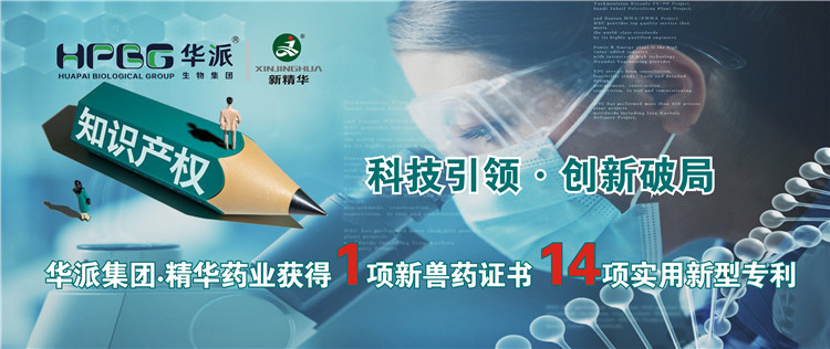 科技引领•立异破局 | 华派集团•NG娱乐药业获得1项新兽药证书 14项适用新型专利