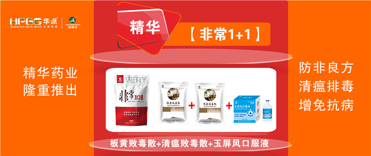 科普：非洲猪瘟防控步伐 |【很是1+1】防非良方, 清瘟排毒、增免抗病，，，，，加速猪瘟抗体爆发!