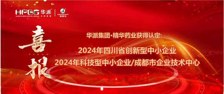 喜报｜华派集团·NG娱乐药业获得：四川省立异型中小企业/2024年科技型中小企业/成都会企业手艺中心 认定