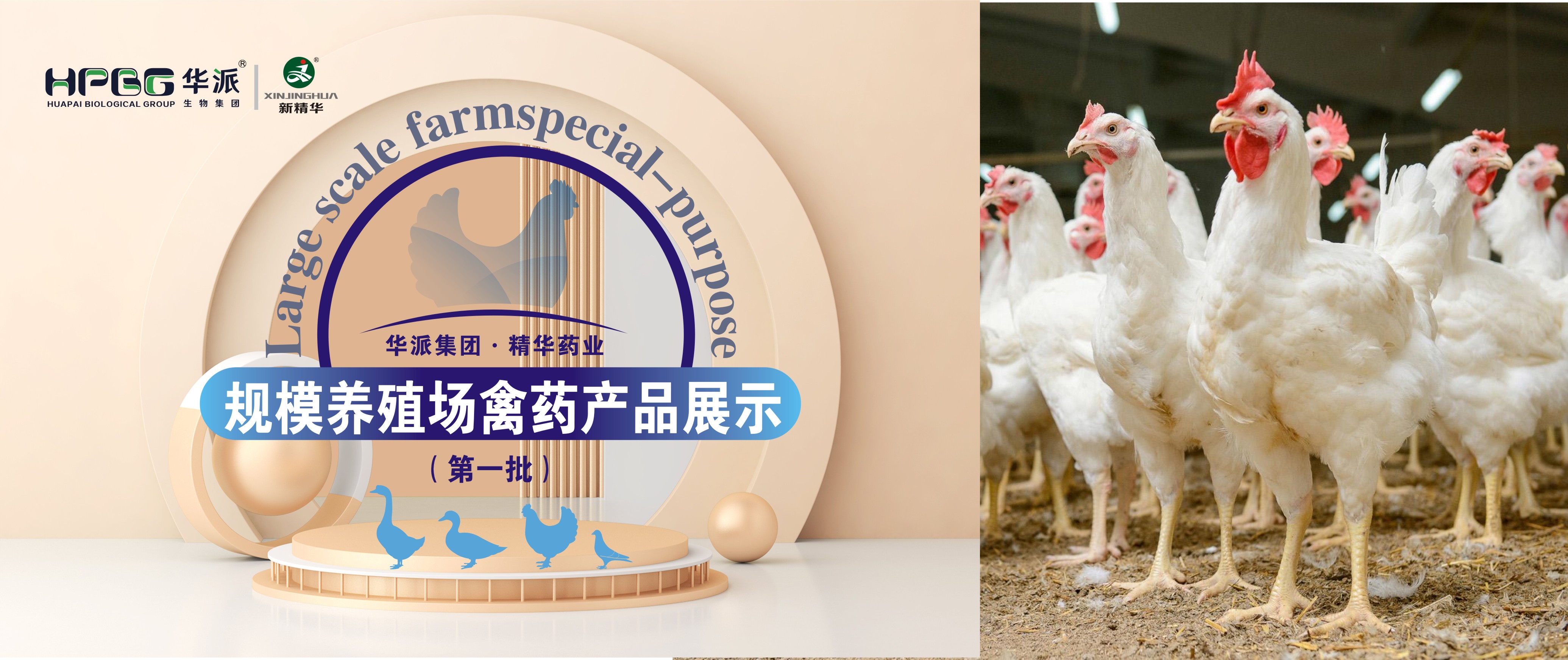 规；；；；；吵∽ㄓ | 华派集团·NG娱乐药业规；；；；；吵∏菀┎氛故荆ǖ谝慌